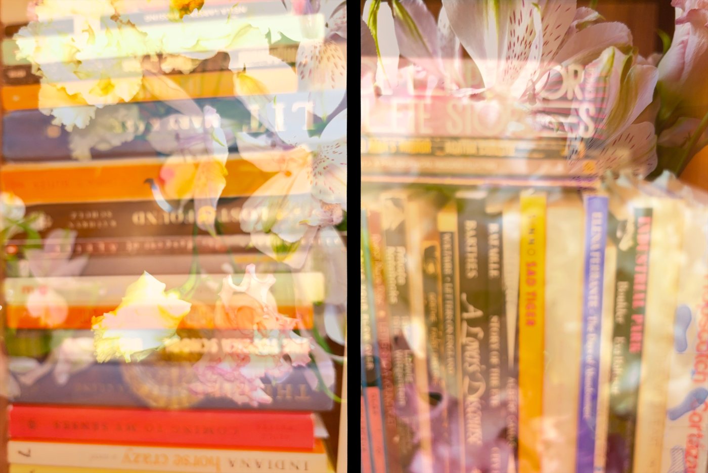 A half-frame pair: a bookshelf through flowers